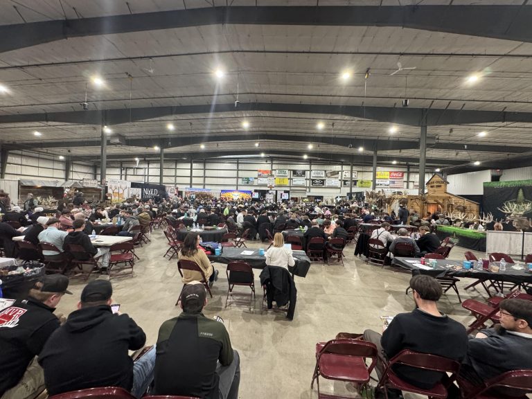 Whitetail Sales Northern Top 30 Auction Room